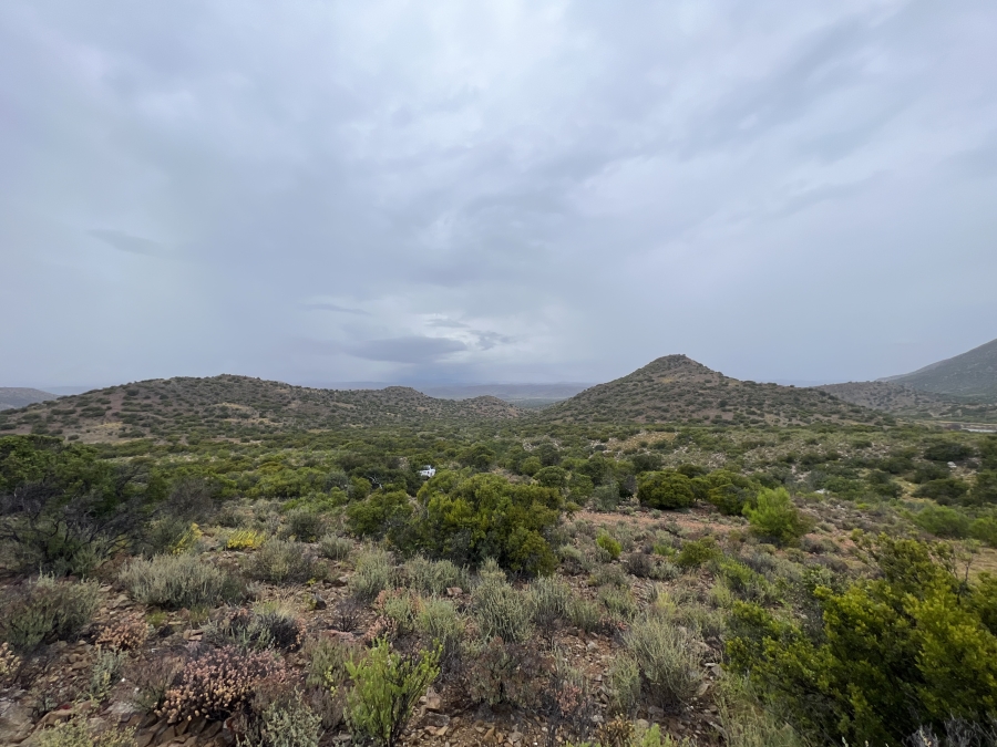 0 Bedroom Property for Sale in Ladismith Western Cape